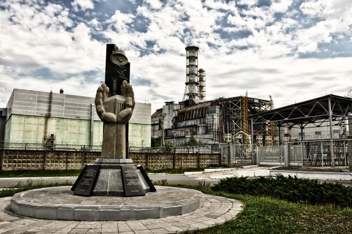 Cani di Chernobyl: un laboratorio genetico vivente