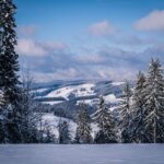 Crisi della neve: Alpi Italiane a rischio