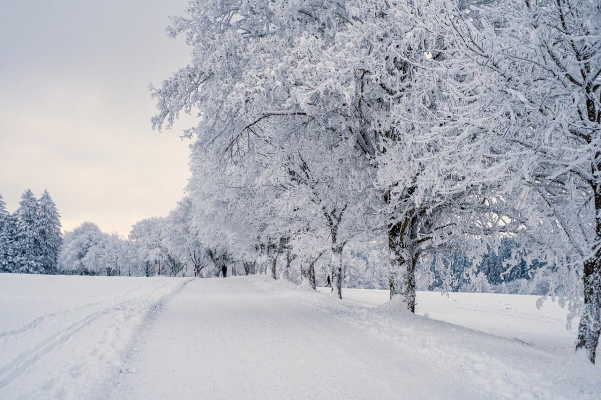 Tempeste di neve e freddo in arrivo