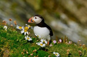 La Natura sa adattarsi all’uomo: l’incredibile scoperta