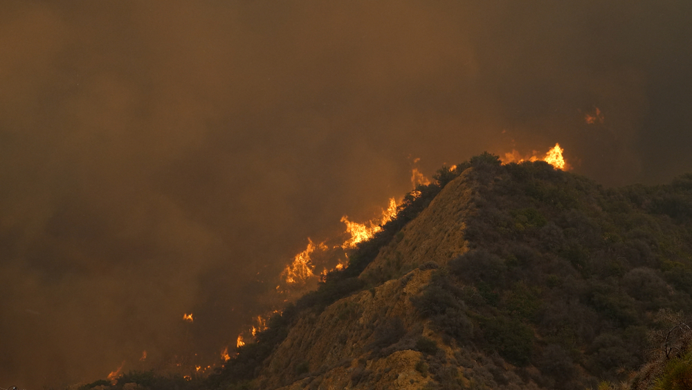 Los Angeles in Rosa: La Battaglia per spegnere gli incendi