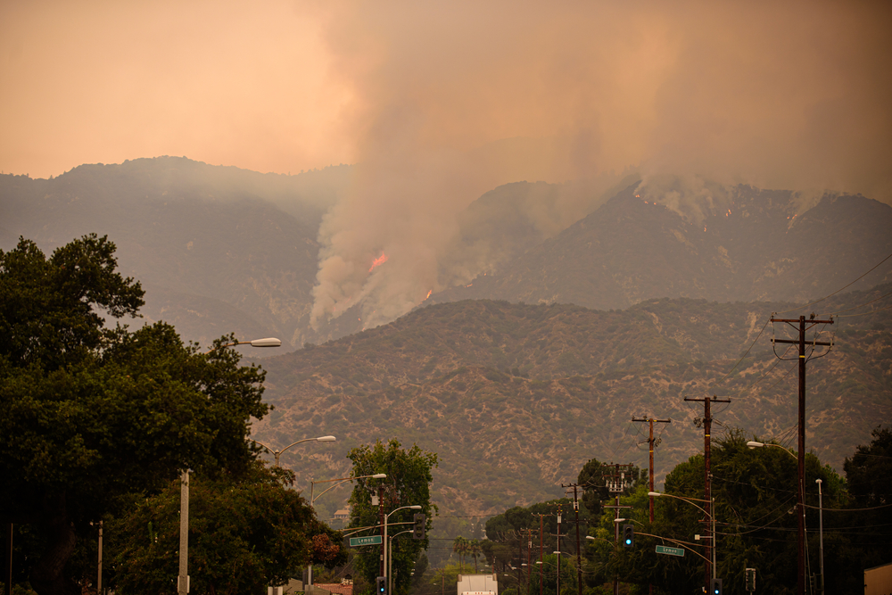 Los Angeles in Rosa: La Battaglia per spegnere gli incendi