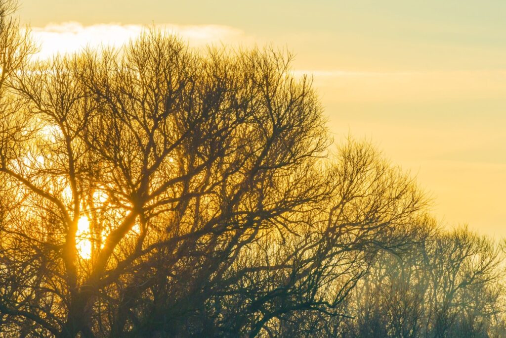 Il Sole può influenzare i terremoti? Nuove scoperte